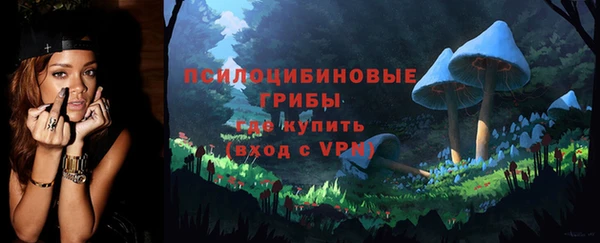 дурь Алексин