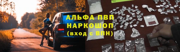 дурь Алексин